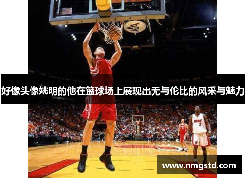 好像头像姚明的他在篮球场上展现出无与伦比的风采与魅力